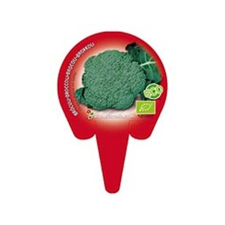 BROCOLI PRODUCTO NATURAL BANDEJA 12 PLANTONES