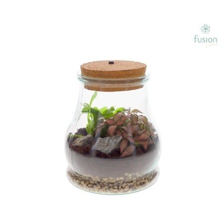 COMPOSICION TERRARIUM 15X19CM