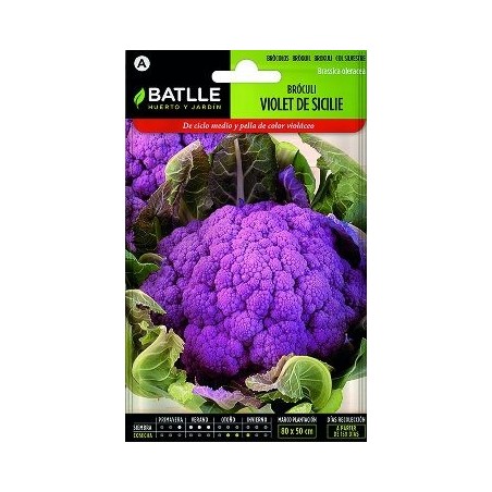 SEMILLAS BROCOLI VIOLETA SICILIA 4GR