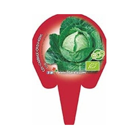 COL REDONDA LISA ECOLOGICO BANDEJA 6 PLANTONES