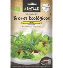 SEMILLAS ECOLOGICAS BROTES TRIGO 33GR