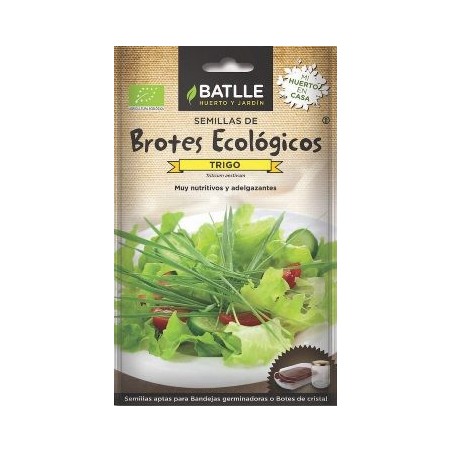SEMILLAS ECOLOGICAS BROTES TRIGO 33GR