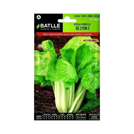 SEMILLAS ACELGA AMARILLA LYON 10GR