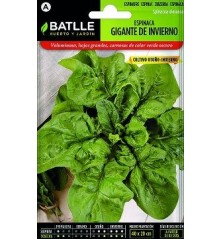 SEMILLAS ESPINACA GIGANTE DE INVIERNO 15GR