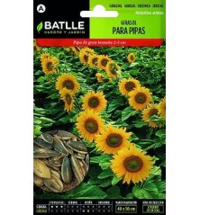 SEMILLAS GIRASOL PARA PIPAS 5-7GR