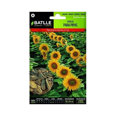 SEMILLAS GIRASOL PARA PIPAS 5-7GR