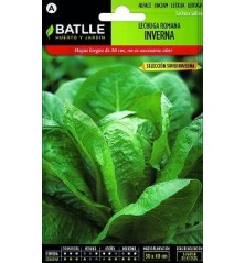 SEMILLAS LECHUGA ROMANA INVERNA SUPERINVERNA 6GR