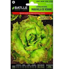 SEMILLAS LECHUGA BATAVIA MARAVILLA DE VERANO 7G