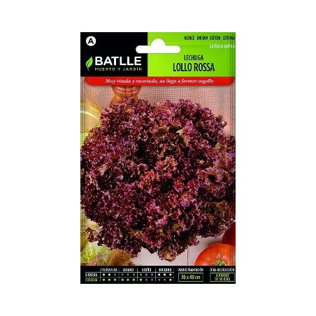 SEMILLAS LECHUGA LOLLO ROSSA 5GR