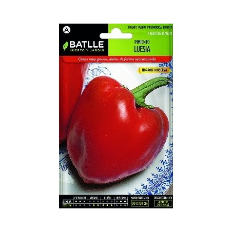 SEMILLAS PIMIENTO MORRON CONSERVA 1GR