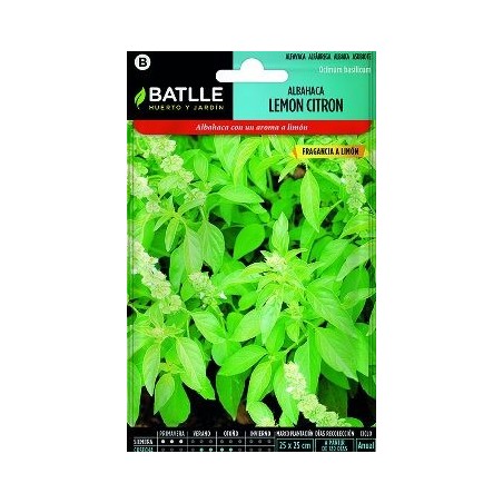 SEMILLAS ALBAHACA LIMON 1GR