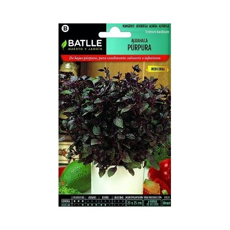 SEMILLAS ALBAHACAPURPURA 2GR