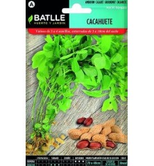 SEMILLAS CACAHUETE 10GR