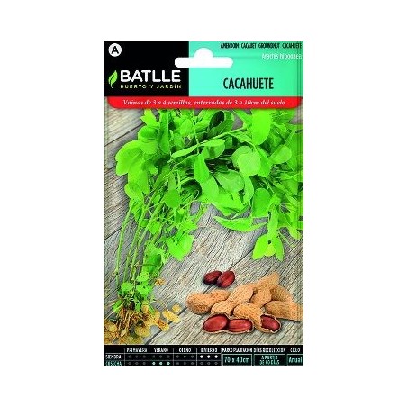 SEMILLAS CACAHUETE 10GR