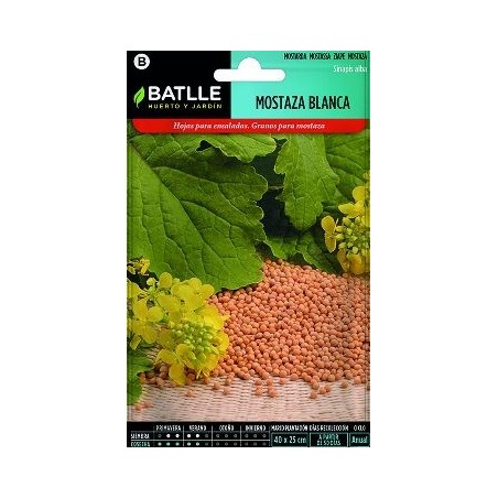 SEMILLAS MOSTAZA 10GR