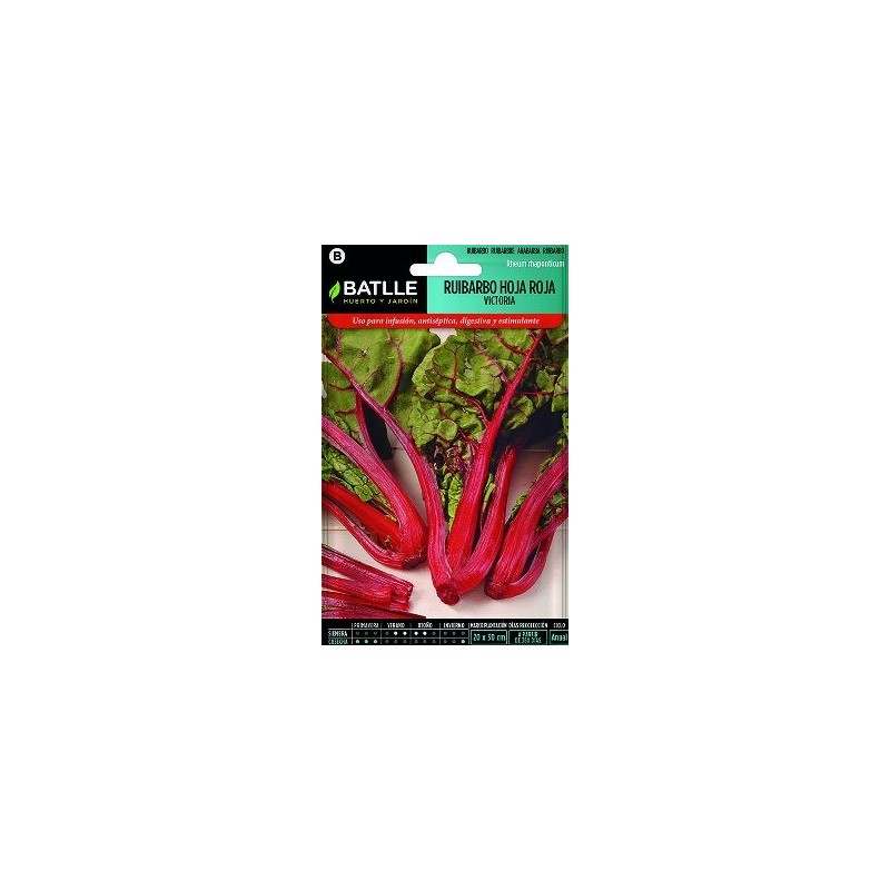 SEMILLAS RUIBARBO HOJA ROJA VICTORIA 1GR