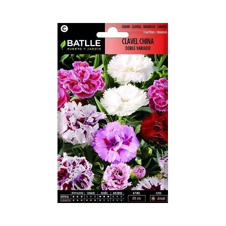 SEMILLAS CLAVEL CHINO DOBLE FLOR GRANDE 2GR
