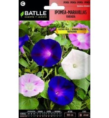 SEMILLAS IPOMEA MARAVILLAS VARIADA 10GR