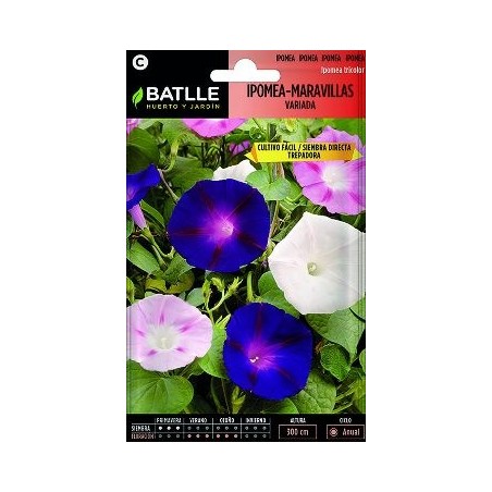 SEMILLAS IPOMEA MARAVILLAS VARIADA 10GR
