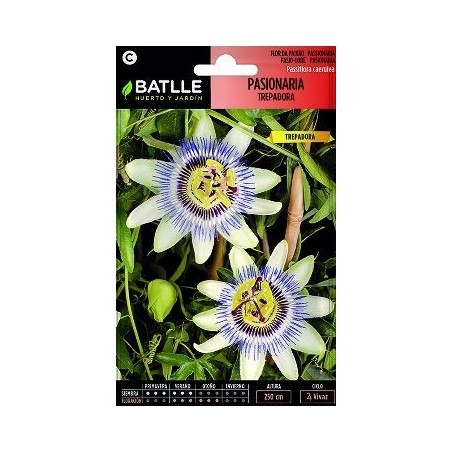 SEMILLAS PASIONARIA TREPADORA BLANCA 0.6GR