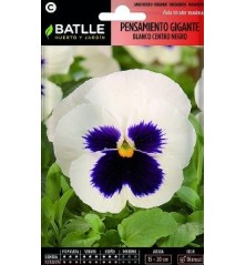 SEMILLAS PENSAMIENTO GIGANTE BLANCO C.NEGRO 0.4GR