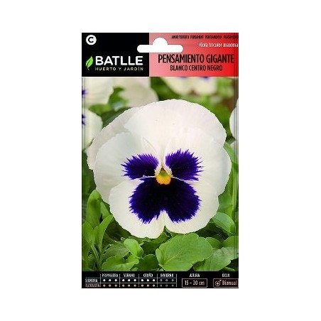 SEMILLAS PENSAMIENTO GIGANTE BLANCO C.NEGRO 0.4GR