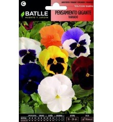 SEMILLAS PENSAMIENTO GIGANTE VARIADO 0.5GR
