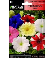 SEMILLAS PETUNIA COMPACTA VARIADA 0.5GR