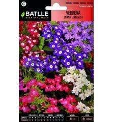 SEMILLAS VERBENA ENANA COMPACTA 0.9GR