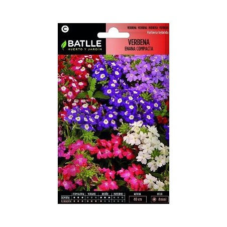 SEMILLAS VERBENA ENANA COMPACTA 0.9GR