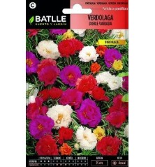 SEMILLAS VERDOLAGA DOBLE PORTULACA 0.7GR