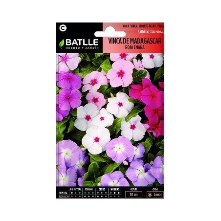 SEMILLAS VINCA DE MADAGASCAR 0.4GR