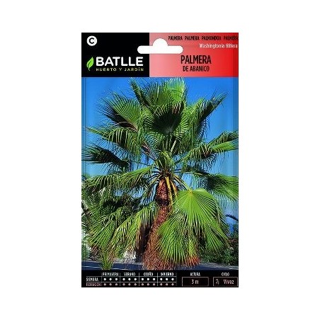 SEMILLAS PALMERA DE ABANICO 3UDS