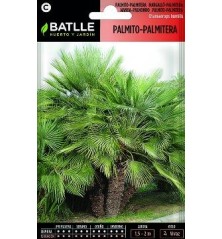 SEMILLAS PALMITO PALMITERA 3UDS