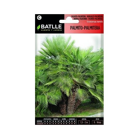SEMILLAS PALMITO PALMITERA 3UDS