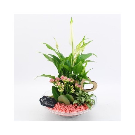 COMPOSICION PLANTAS 30CM