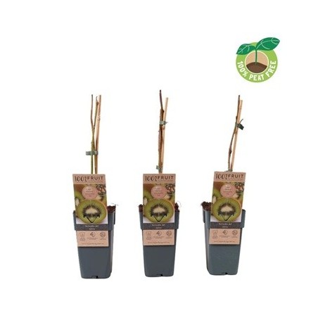 KIWI  AUTOFERTIL VERDE C3L