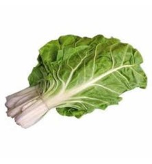 ACELGA BANDEJA 6 PLANTONES