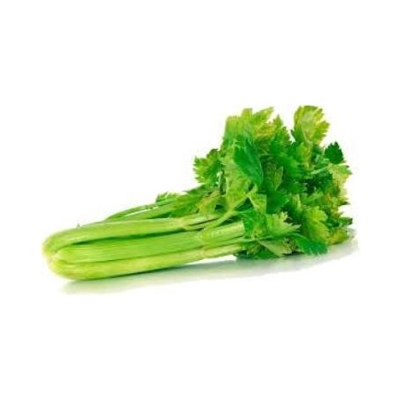 APIO PRODUCTO NATURAL BANDEJA 6 PLANTONES