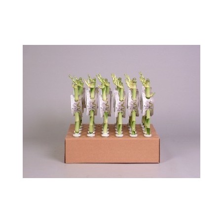 BAMBU SUERTE 45 CM ALTURA