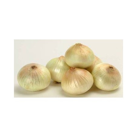 CEBOLLA DE FUENTES PRODUCTO NATURAL BANDEJA 12 PLA