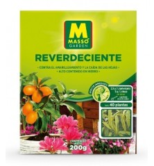 REVERDECIENTE MASSO 200GR