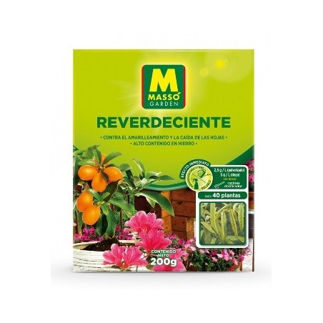 REVERDECIENTE MASSO 200GR