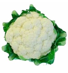COLIFLOR ECOLOGICA PACK 6 PLANTONES