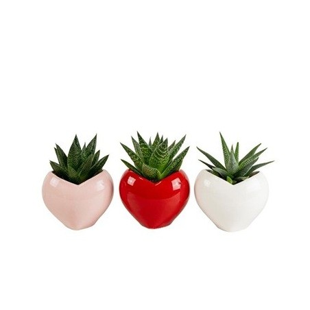 SUCULENTAS EN MACETA FORMA DE CORAZON 6CM