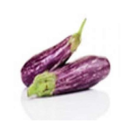BERENJENA LISTADA CARNOSA BANDEJA 12 PLANTONES