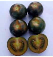 TOMATE CHERRY NEGRO BANDEJA 12 PLANTONES