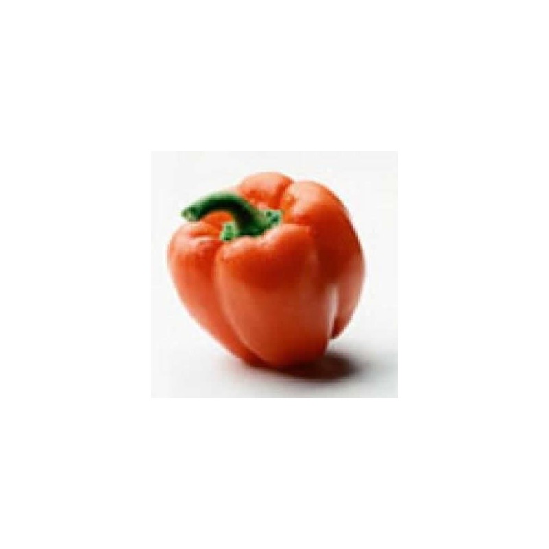 PIMIENTO ROJO PRODUCTO NATURAL 6 PLANTONES