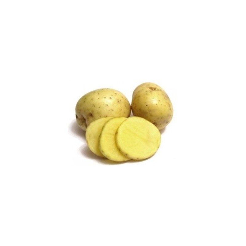 PATATAS DE SIEMBRA AGRIA 1KG