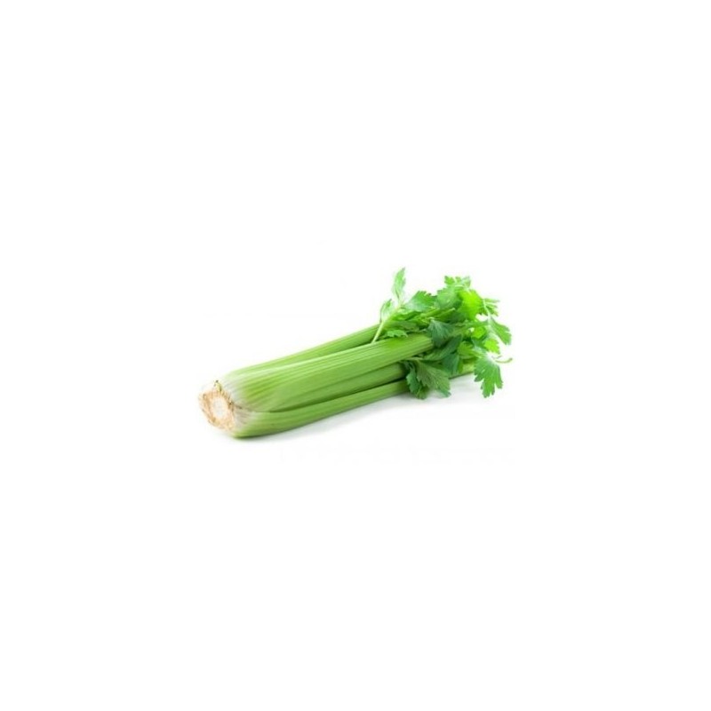APIO VERDE PACK 6 PLANTONES